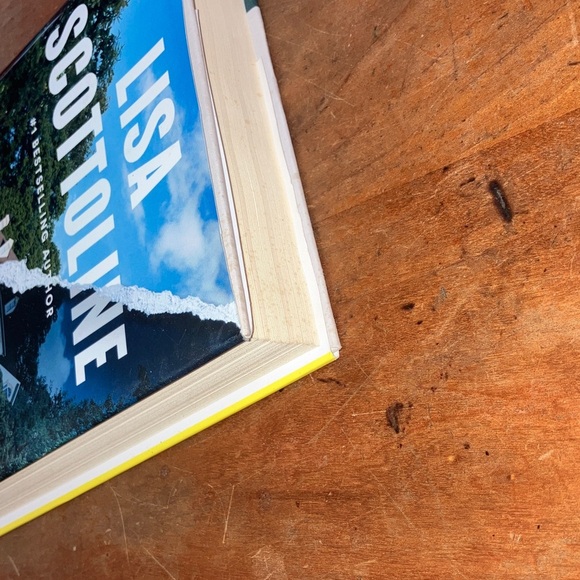 'The Truth About the Devlins' hardcover Book by Lisa Scottoline - Picture 13 of 14